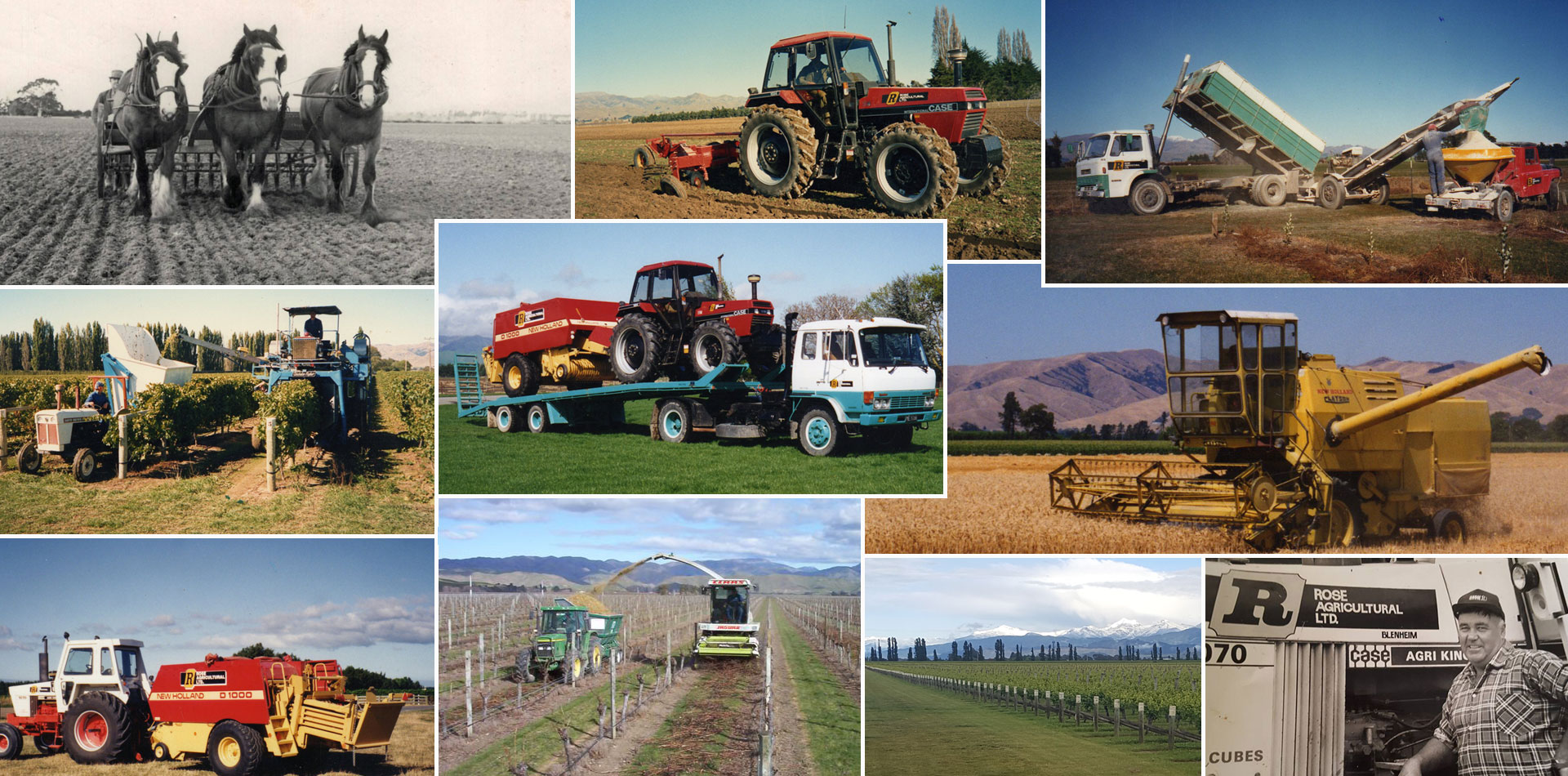 Rose Ag History